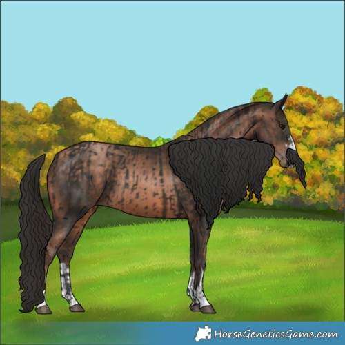 Horse Color:Brown  and Brown Pearl 