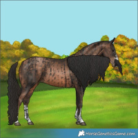 Horse Color:Brown and Brown Pearl