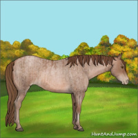 Horse Color:Brown Pearl  and Brown Roan Pearl 