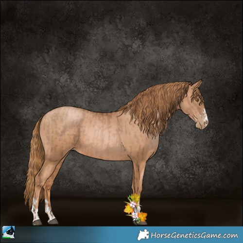 Horse Color:Liver Chestnut Pearl  and Chestnut Pearl 