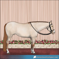 Horse Color:Brown Pearl Dun and Brown Pearl Dun