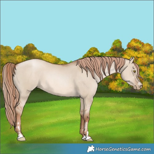 Horse Color:Liver Red Dun Pearl  and Liver Red Dun Pearl 