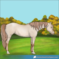 Horse Color:Liver Red Dun Pearl  and Liver Red Dun Pearl 