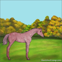 Horse Color:Watercolor Liver Chestnut 