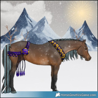 Horse Color:Painted Bay 