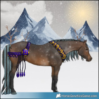 Horse Color:Painted Bay 