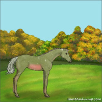 Horse Color:Watercolor Chestnut 