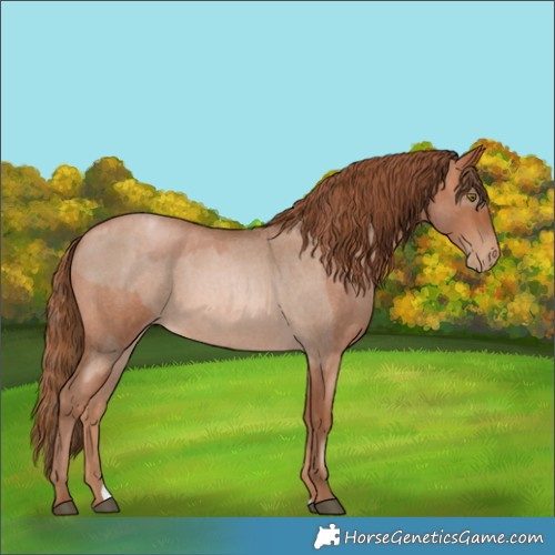 Horse Color:Liver Red Roan Pearl  and Brown Roan Pearl 