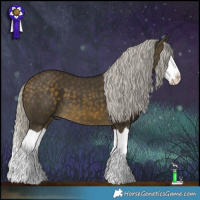Horse Color:Silver Buckskin Splash