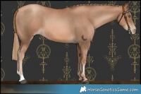 Horse Color:Liver Chestnut Pearl  and Liver Chestnut Pearl 