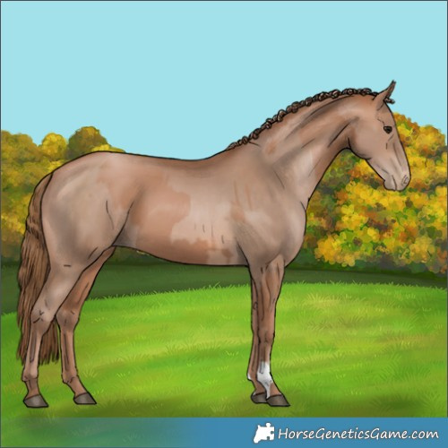 Horse Color:Black Pearl  and Brown Pearl 
