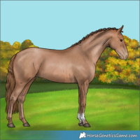 Horse Color:Black Pearl  and Brown Pearl 