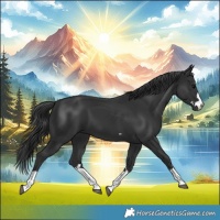 Horse Color:Black 
