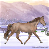 Horse Color:Liver Chestnut Pearl  and Black Pearl 