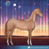 Horse Color:Bay Pearl  and Bay Pearl 