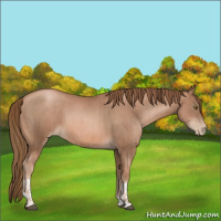 Horse Color:Liver Chestnut Pearl  and Liver Chestnut Pearl 