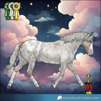 Horse Color:Silver Smoky Blue Roan Splash Frame Appaloosa 