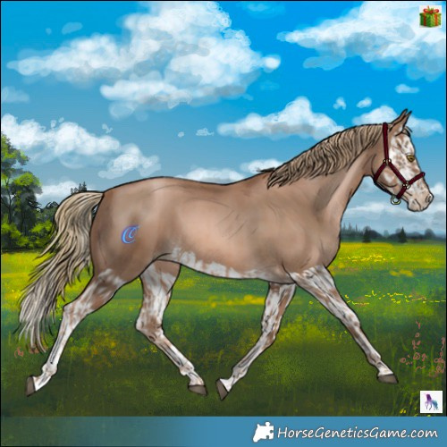 Horse Color:Liver Chestnut Pearl  and Liver Chestnut Pearl Splash 