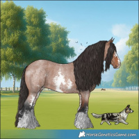 Horse Color:Bay Roan Sabino Rabicano  and Bay Roan Sabino 