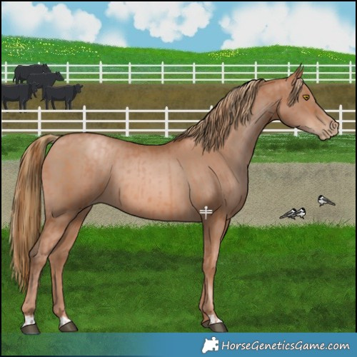 Horse Color:Brown Pearl  and Liver Chestnut Pearl 