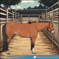 Horse Color:Bay Tobiano 