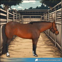 Horse Color:Bay Tobiano 