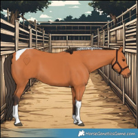 Horse Color:Bay Tobiano 