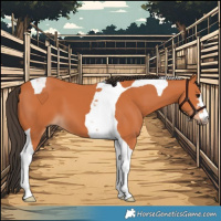 Horse Color:Bay Tobiano 
