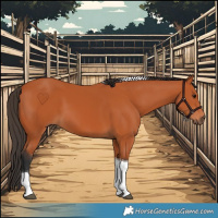 Horse Color:Bay Tobiano 