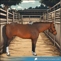 Horse Color:Bay Tobiano 