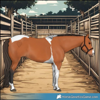 Horse Color:Bay Tobiano 