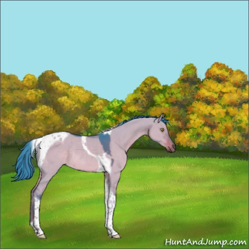 Horse Color:Watercolor Liver Red Dun Tobiano Rabicano 