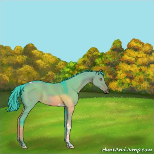 Horse Color:Watercolor Liver Red Dun Tobiano Rabicano 