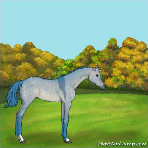Horse Color:Watercolor Brown Dun Tobiano Rabicano 