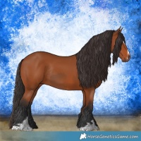 Horse Color:Brown Sabino Rabicano  and Bay Sabino Rabicano 
