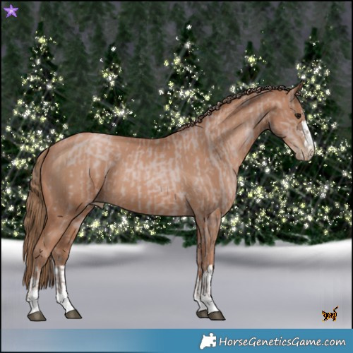 Horse Color:Platinum Black Pearl  and Black Pearl 