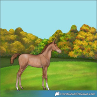 Horse Color:Brown Pearl and Brown Pearl