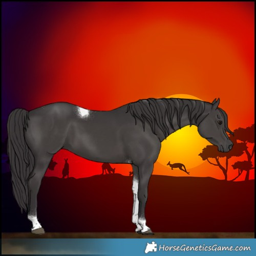 Horse Color:Smoky Black Tobiano 