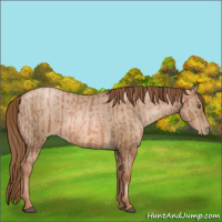 Horse Color:Liver Chestnut Pearl  and Liver Red Dun Pearl 
