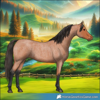 Horse Color:Bay Roan 