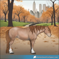 Horse Color:Brown Pearl  and Bay Pearl 