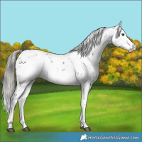 Horse Color:Liver Chestnut Mushroom Sabino 