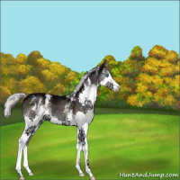 Horse Color:White Spotted Midnight Liver Red Onyx Mushroom Splash