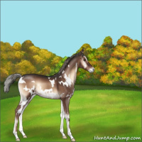 Horse Color:White Spotted Liver Red Onyx Mushroom 