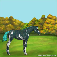 Horse Color:Watercolor Midnight Black Ice Splash Tobiano