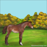 Horse Color:Chocolate Brown 