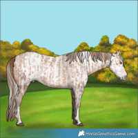 Horse Color:Brown Pearl and Gray Brown Pearl