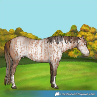 Horse Color:Brown Pearl  and Gray Brown Pearl 