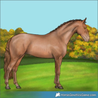 Horse Color:Bay Pearl  and Bay Pearl 