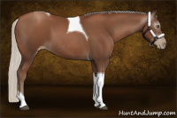 Horse Color:Gray Silver Black Pearl Tobiano 